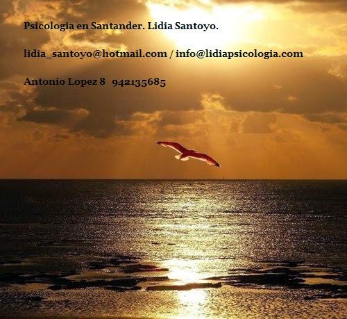 Lidia Santoyo | Psicologo en Santander