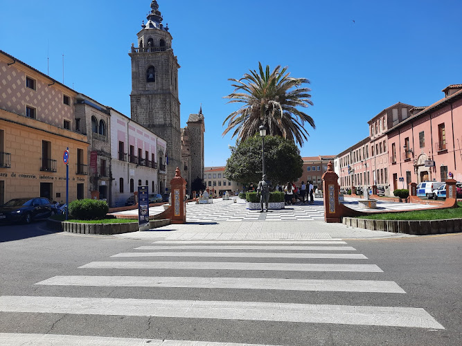 Psicólogos en la Ciudad de Talavera De La Reina