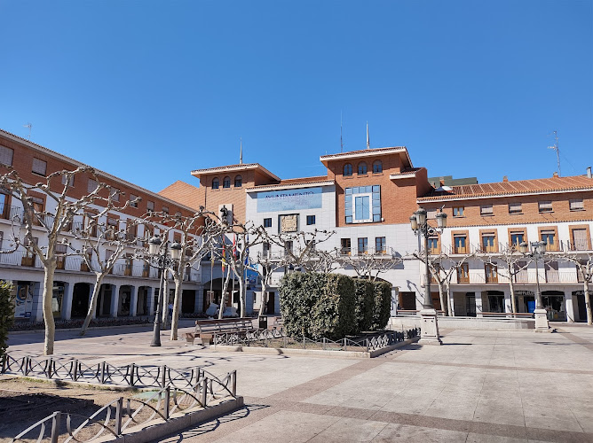 Psicólogos en la Ciudad de Torrejon De Ardoz